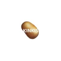 kinkis個人資料介紹_個人檔案(生日/星座/歌曲/專輯/MV作品)