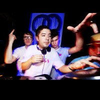 Harvard Bass圖片照片_Harvard Bass