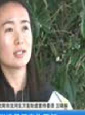 遼寧新聞最新一期線上看_全集完整版高清線上看 - 蟲蟲綜藝