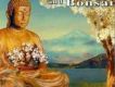 佛陀和盆景系列 Buddha and B