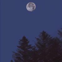 易雲風個人資料介紹_個人檔案(生日/星座/歌曲/專輯/MV作品)