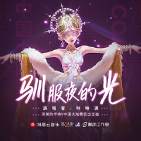 馴服夜的光
