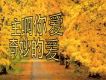 聖徒詩歌圖片照片_聖徒詩歌