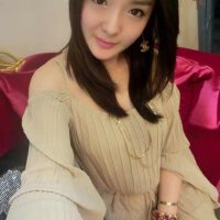 叮叮貓圖片照片_叮叮貓