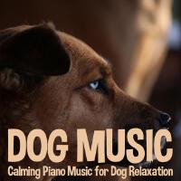 Dog Music Dreams最新歌曲_最熱專輯MV_圖片照片