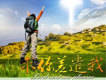 求你差遣我