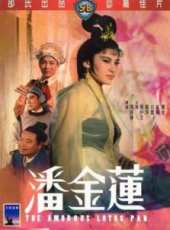 紅薇演過的電影電視劇線上看_影視作品大全_好看的明星