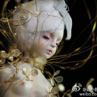 Numina圖片照片_Numina