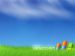 windows xp圖片照片