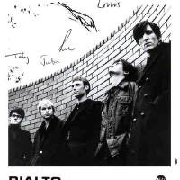 Rialto圖片照片_Rialto