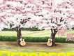 桜風