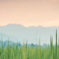 一見傾心