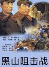 黑山狙擊戰線上看_高清完整版線上看_好看的電影