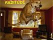 Raditude (Deluxe Edi