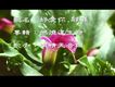 有情天音樂圖片照片_有情天音樂