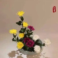 花開似水 人淡如菊圖片照片_花開似水 人淡如菊