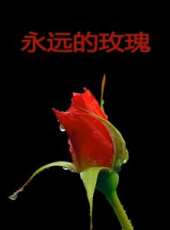 最新2015警匪電影_2015警匪電影大全/排行榜_好看的電影