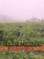 Oh My Baby最新一期線上看_全集完整版高清線上看_好看的綜藝
