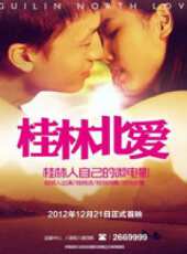 桂林北愛之愛的方向（微電影）線上看_高清完整版線上看 - 蟲蟲電影