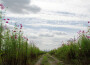 We Hum On The Way Home專輯_Motohiro NakashimaWe Hum On The Way Home最新專輯