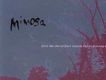 Mimosa歌曲歌詞大全_Mimosa最新歌曲歌詞