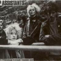 Shop Assistants圖片照片_Shop Assistants