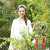 沙泉歌曲歌詞大全_沙泉最新歌曲歌詞