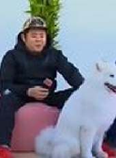 卡酷動物園 2020最新一期線上看_全集完整版高清線上看_好看的綜藝
