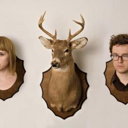 Wye Oak圖片照片_Wye Oak