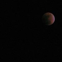 RED universe圖片照片_RED universe