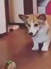 萌次元最新一期線上看_全集完整版高清線上看_好看的綜藝