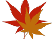 楓圖片照片