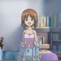 Panzer X圖片照片_Panzer X
