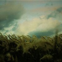 Yusuke Tsutsumi圖片照片_照片寫真