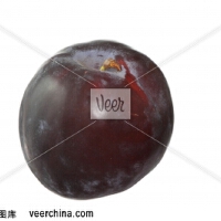 Plum圖片照片_Plum