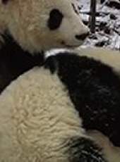 視點鋒匯最新一期線上看_全集完整版高清線上看_好看的綜藝
