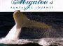 Migaloo's Fantastic Journey專輯_Steve ManderaMigaloo's Fantastic Journey最新專輯