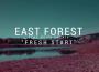 Ambient Forest