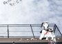 (un)sentimental spica專輯_鎖那(un)sentimental spica最新專輯