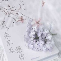 來不及想你（新版）