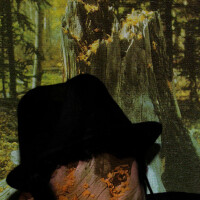 Bosques de mi Mente圖片照片_Bosques de mi Mente