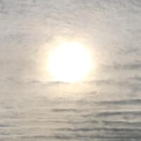 Artur Shek歌曲歌詞大全_Artur Shek最新歌曲歌詞