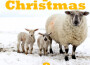 Sheepside Christmas, Vol. 8專輯_The WeaversSheepside Christmas, Vol. 8最新專輯