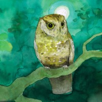 Sleeping At Last圖片照片_Sleeping At Last