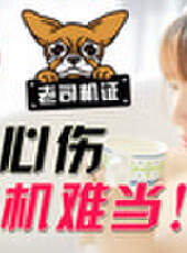 主播真會玩最新一期線上看_全集完整版高清線上看_好看的綜藝