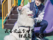 Not fall in love 我們不要相愛  feat. 宿威加歌詞_李佩彤Not fall in love 我們不要相愛  feat. 宿威加歌詞