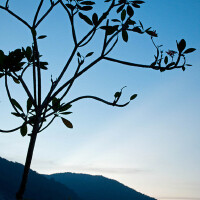 Shades of Dusk圖片照片_Shades of Dusk