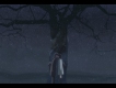  花こ圖片照片