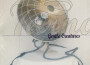 Gentle Creatures專輯_TarnationGentle Creatures最新專輯