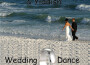 Wedding Dance專輯_Giora FeidmanWedding Dance最新專輯